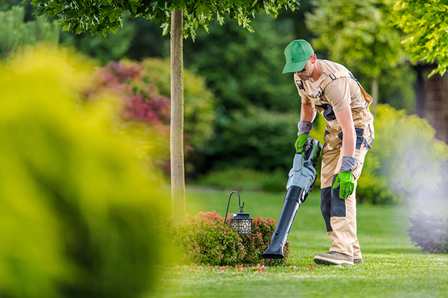 Garden Maintenance Hills Choice Property Services